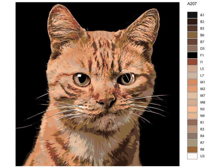 Картина по номерам «Рыжик» — картинка 2