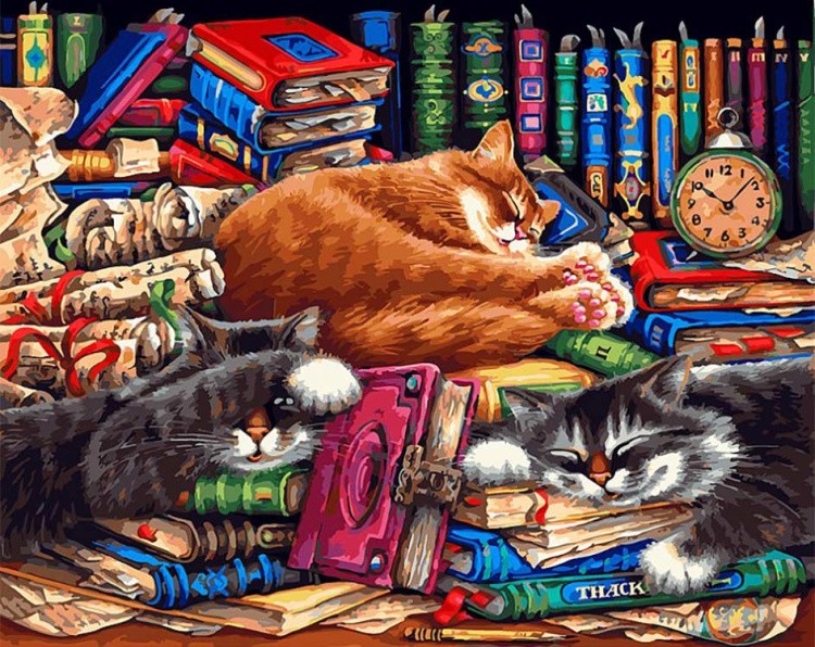 Картина по номерам «Библиотека кошек»