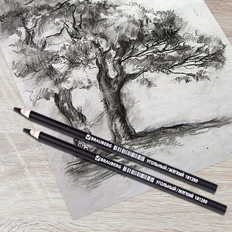 Карандаш угольный BRAUBERG ART CLASSIC, 1 шт., твердый, круглый, корпус черный, заточенный — картинка 3