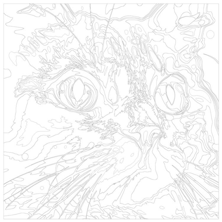 Картина по номерам «Морда кота крупным планом 2» — картинка 3