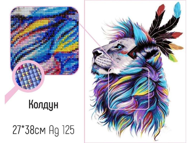 Алмазная вышивка «Колдун» — картинка 2