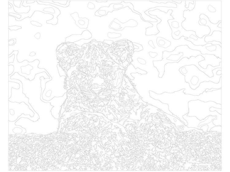 Картина по номерам «Львёнок» — картинка 3