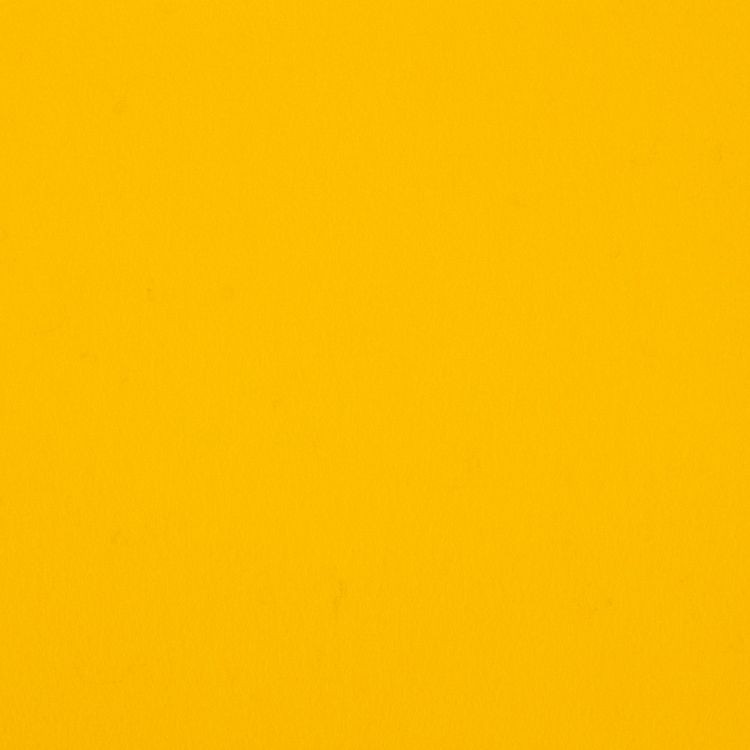 Фетр «Pano 1» декоративный, 1,2 мм 30х45 см ± 2 см, 1 шт., цвет: 16/6-7 желтый, Gamma