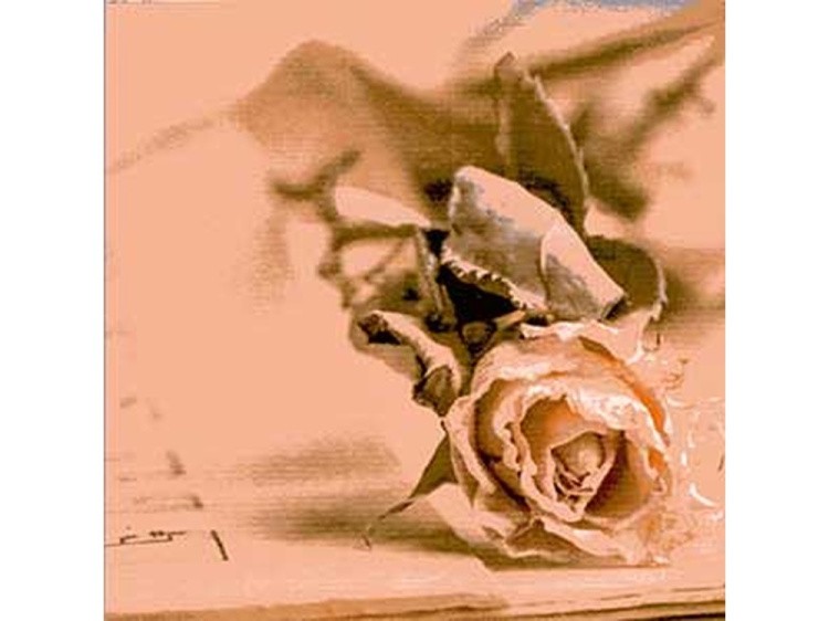 Набор бумаги «Французское путешествие» — картинка 12