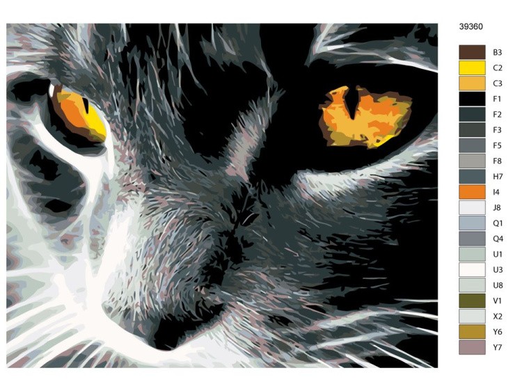Картина по номерам «Кошачий взгляд» — картинка 2