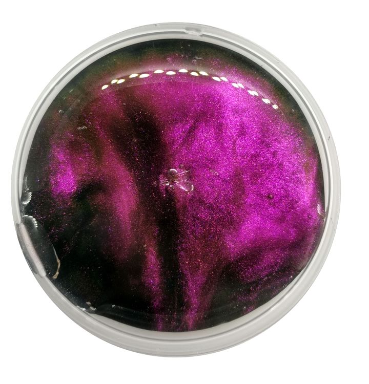 Набор слаймов «Хамелеон», (20 шт. по 50 г) — картинка 4