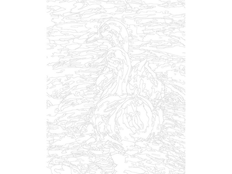 Картина по номерам «Гуси» — картинка 3