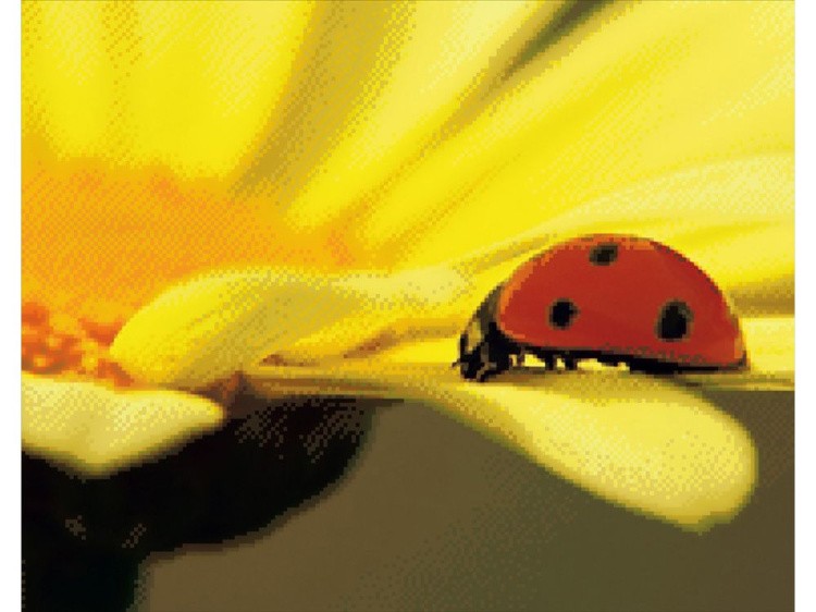 Алмазная вышивка «Божья коровка» — картинка 2