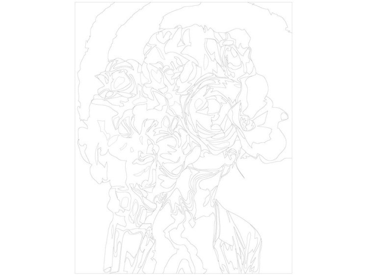 Картина по номерам «Огненный цвет» — картинка 3