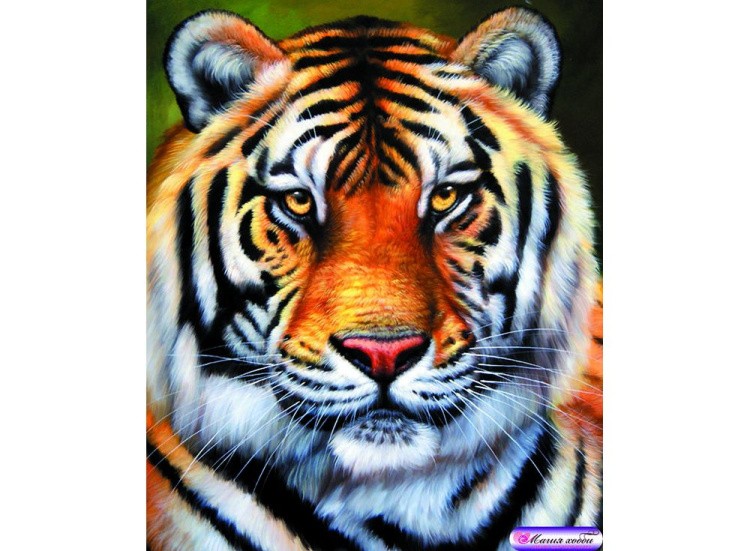 Папертоль «Тигр» — картинка 3