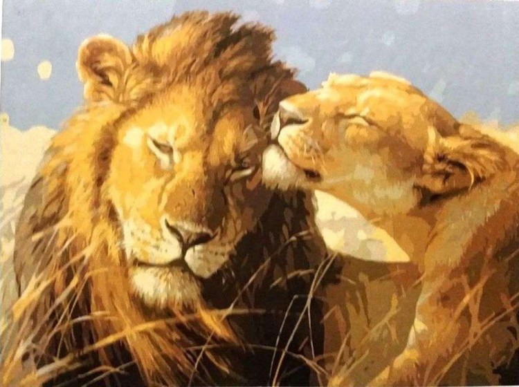 Картина по номерам «Львы»