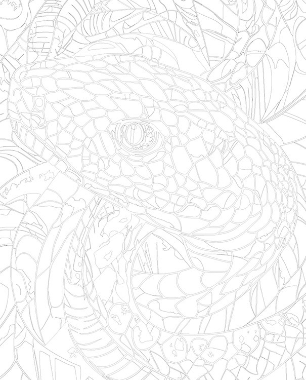 Картина по номерам «Разноцветная змея, Символ года, животные» — картинка 3