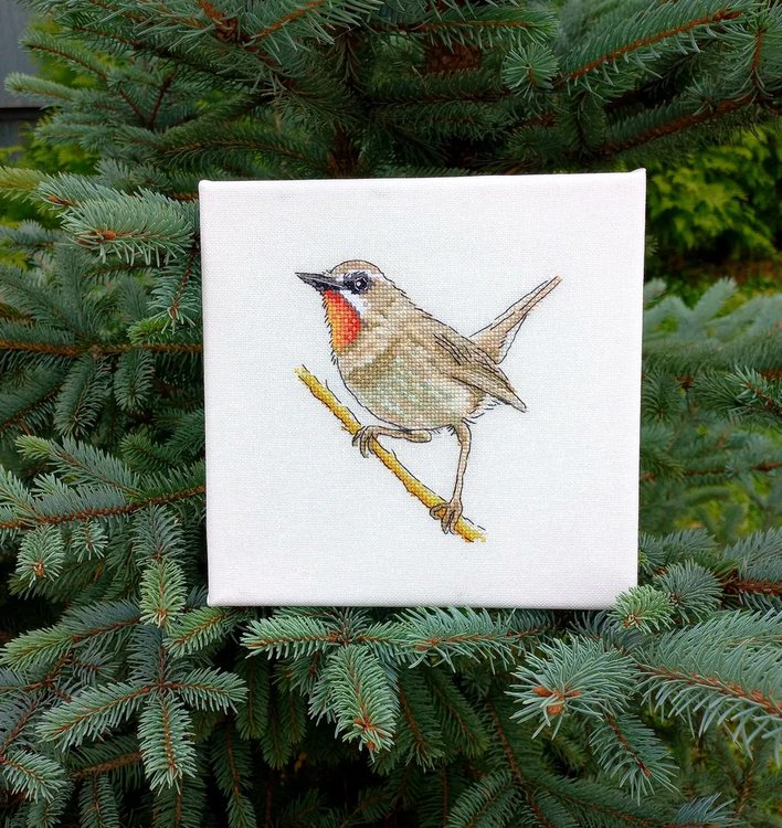 Набор для вышивания «Красношейка. Забайкальский соловей» — картинка 4