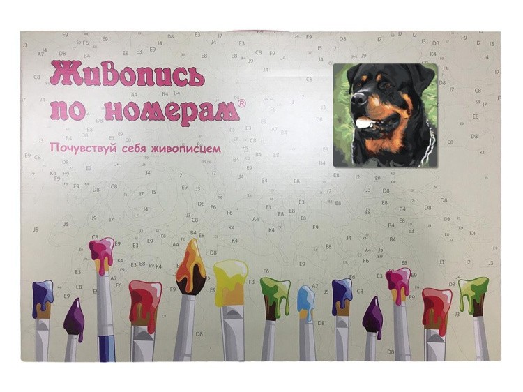 Картина по номерам «Ротвейлер» — картинка 5