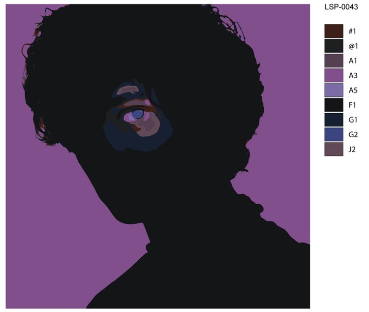 Картина по номерам «Рэпер ЛСП LSP и Гон Флад: Ути-Пути» — картинка 2