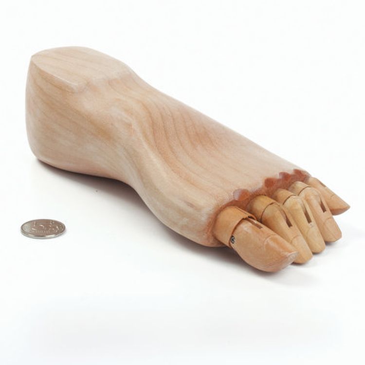 Манекен художественный «Стопа», длина 25 см., мужская левая, дерево, BRAUBERG ART CLASSIC  — картинка 3