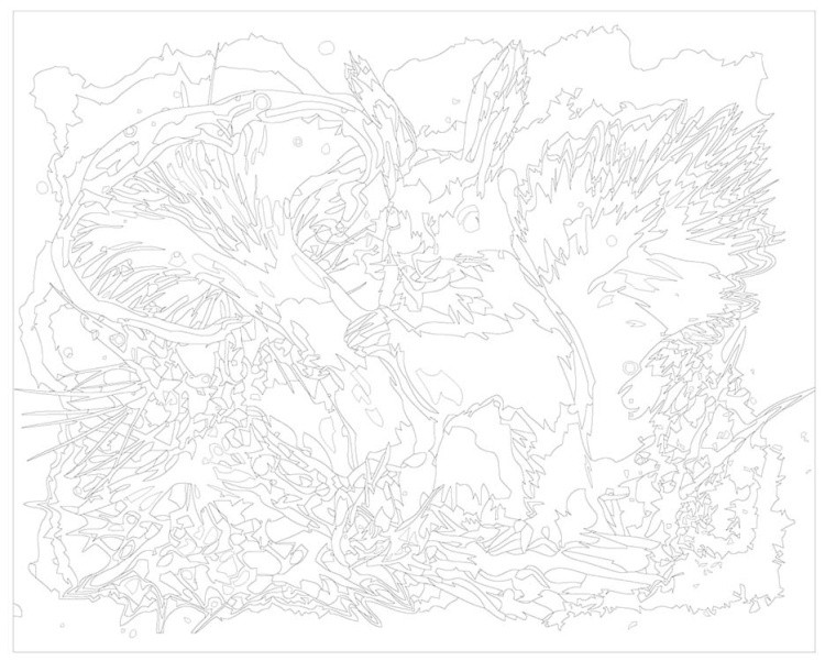 Картина по номерам «Белочка с лисичкой» — картинка 3