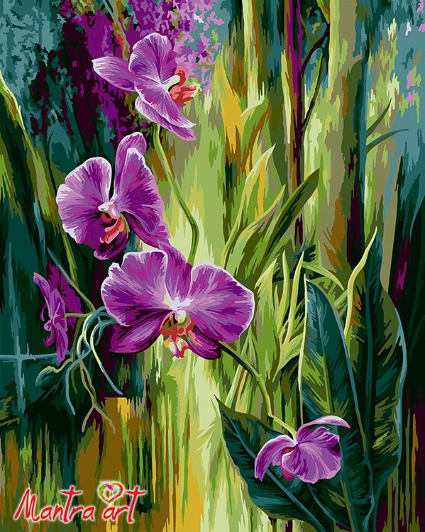 Картина по номерам «Орхидея»