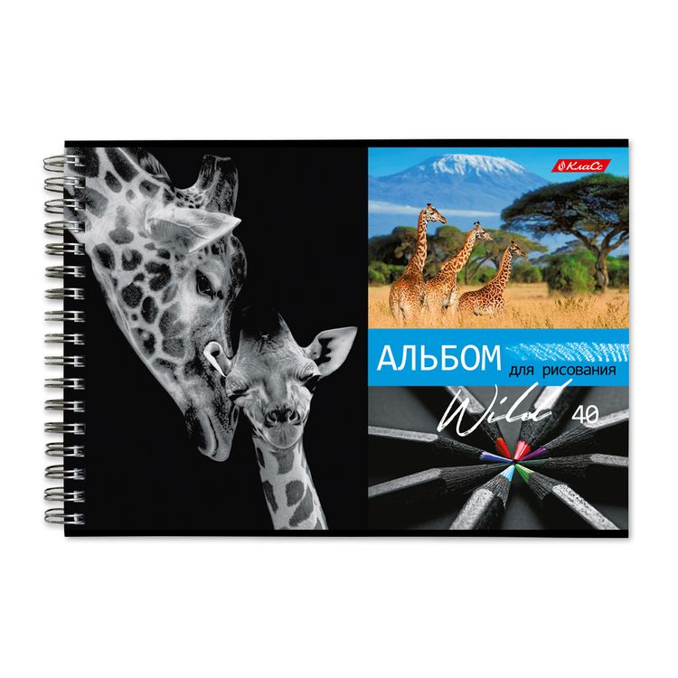Альбом для рисования «Саванна», 100 г/м2, A4, на гребне, 6 альбомов по 40 л., SVETOCH — картинка 4