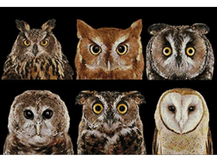 Алмазная вышивка «Ночные стражи» — картинка 2