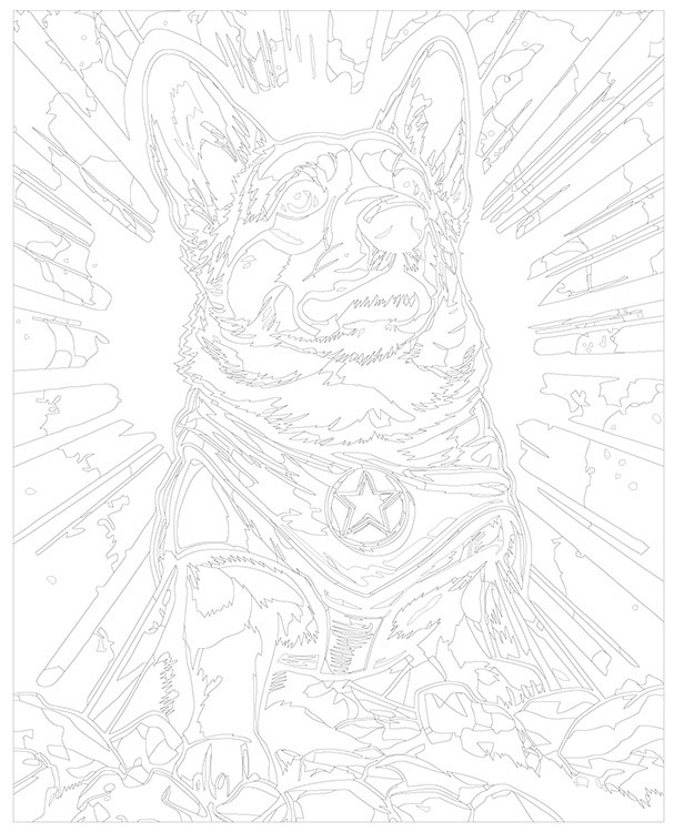 Картина по номерам «Собака корги-супермен» — картинка 3