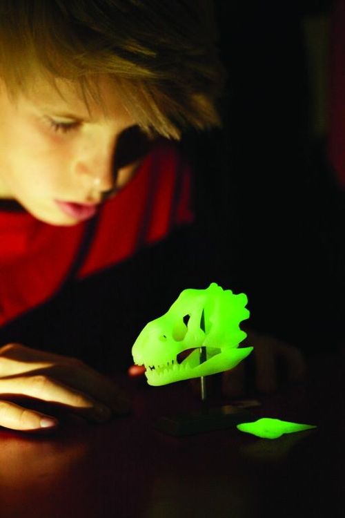 Набор юного палеонтолога «Палеонтологический музей» — картинка 4