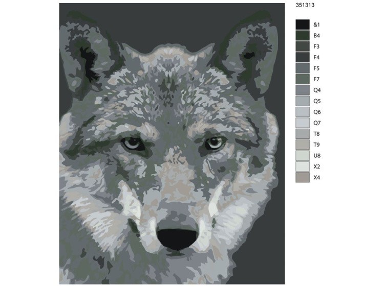 Картина по номерам «Чёрно-белый волк» — картинка 2