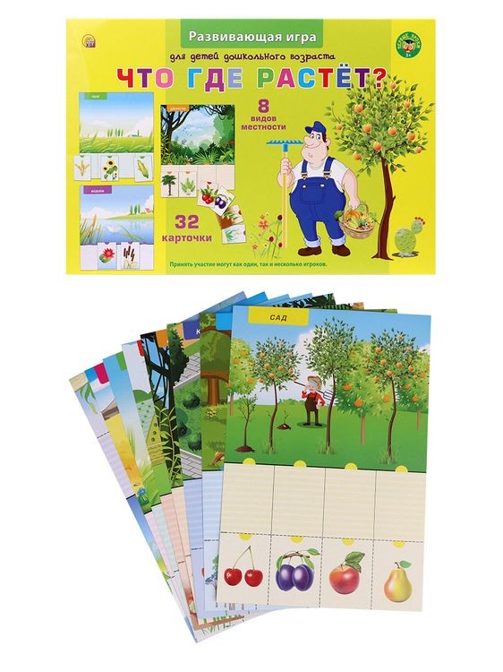 Первые уроки «Что где растет?» — картинка 2