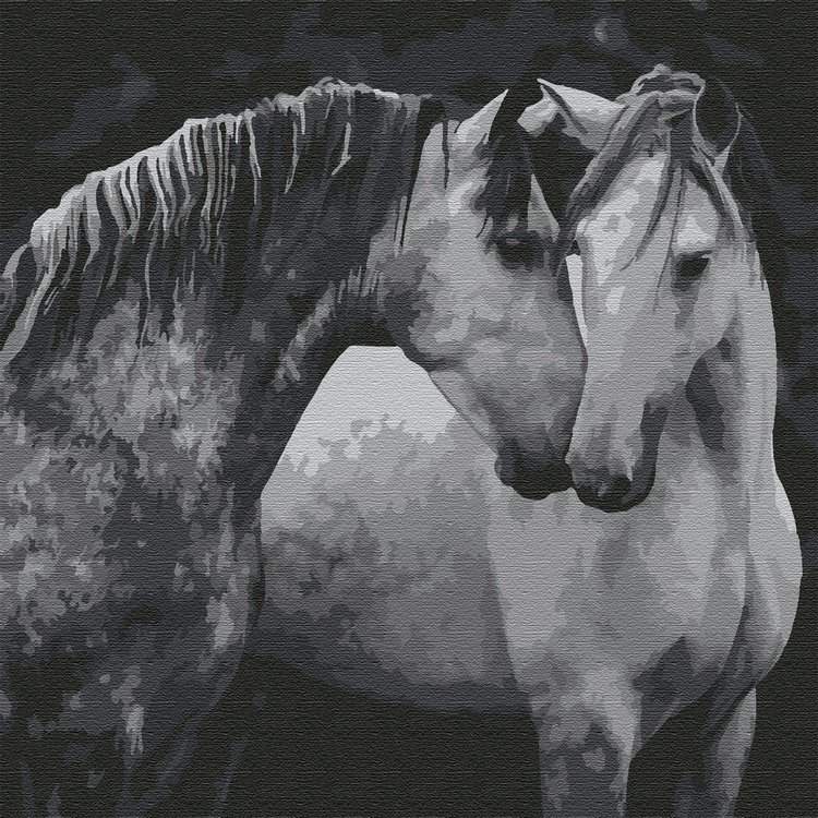 Картина по номерам «Пара лошадей»