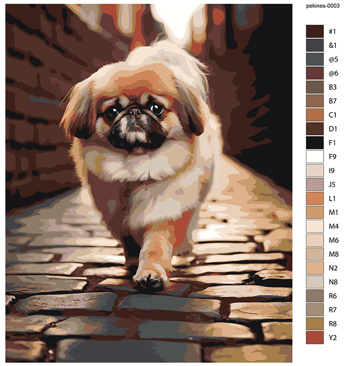 Картина по номерам «Собака Пекинес гуляет по городу» — картинка 2
