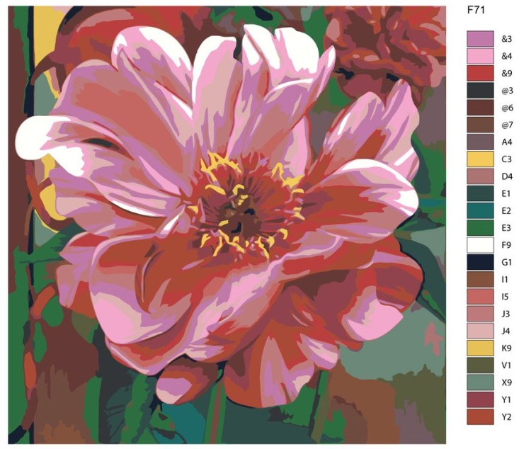 Картина по номерам «Розовый цвет» — картинка 2