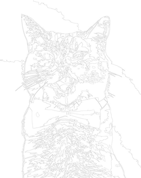 Картина по номерам «Кот Бонд» — картинка 3