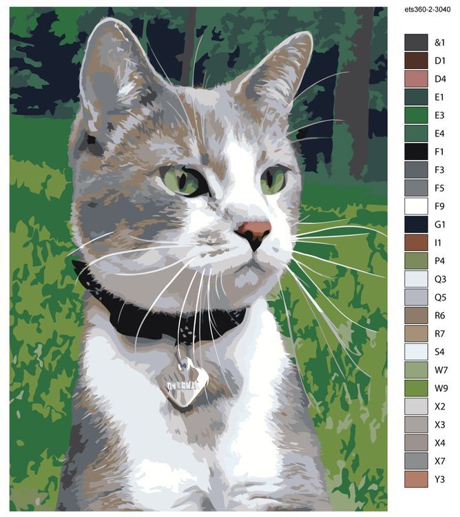Картина по номерам «Кот на прогулке» — картинка 2