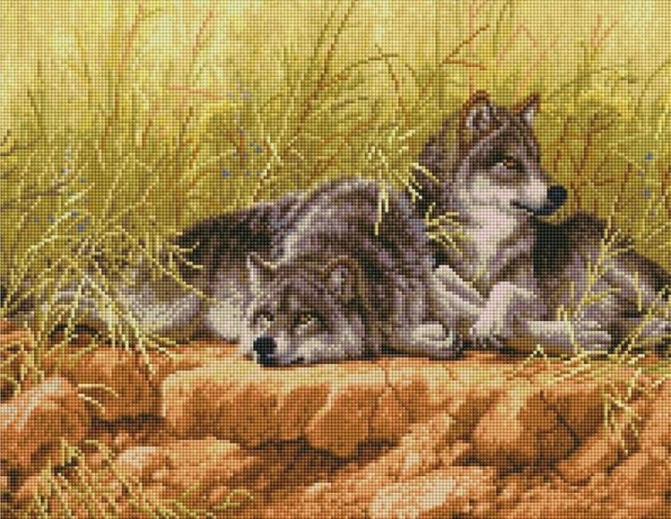Алмазная вышивка «Волк и волчица»