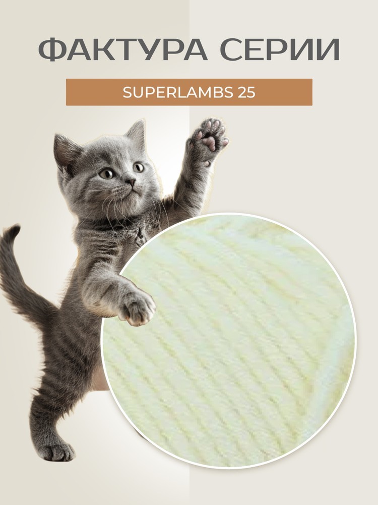 Пряжа NAKO SUPERLAMBS 25 (Нако Суперламбс 25), (2378), суровый, 5 шт. по 100 г — картинка 3