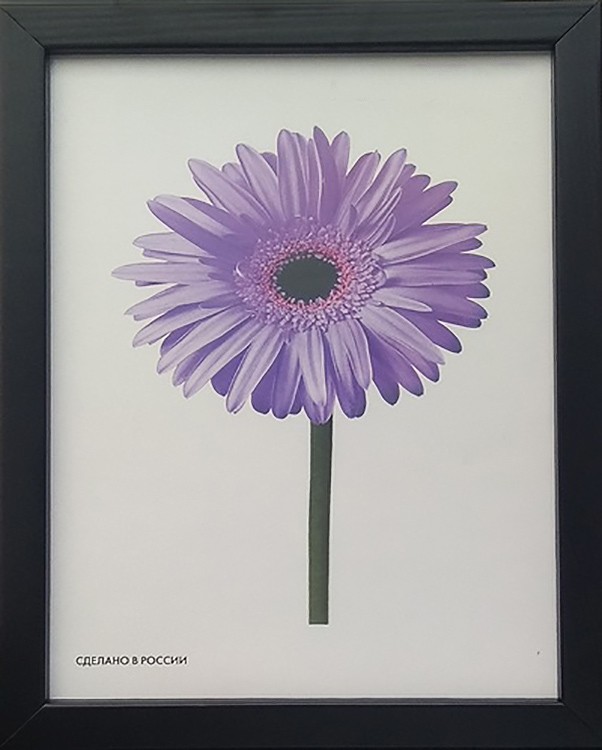 Рамка для картин «Galina» черная, 15х20 см — картинка 4