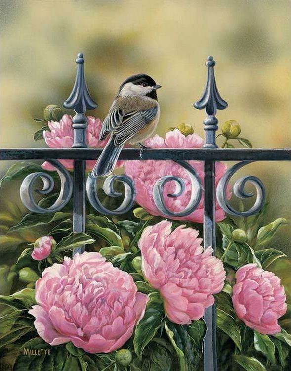 Картина по номерам «Маленькая птичка на заборе» — картинка 2