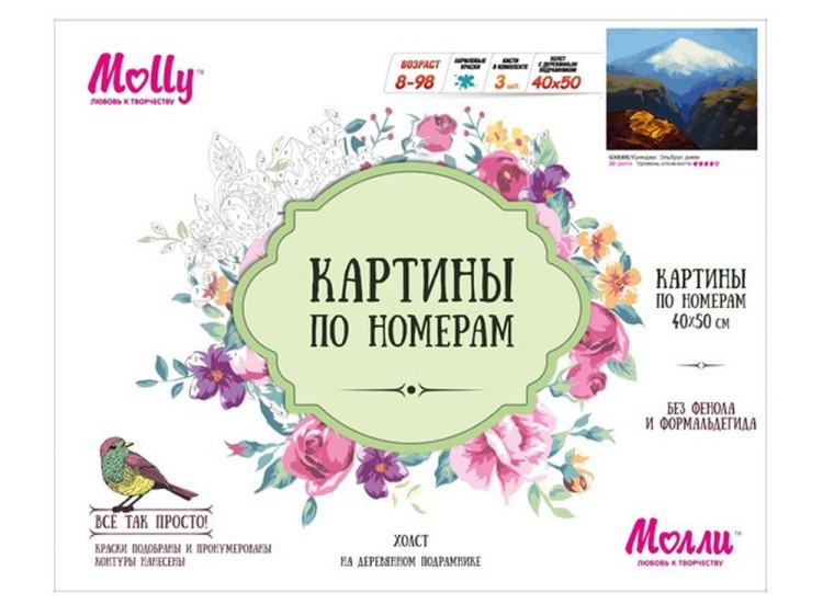 Картина по номерам «Эльбрус днем» — картинка 3