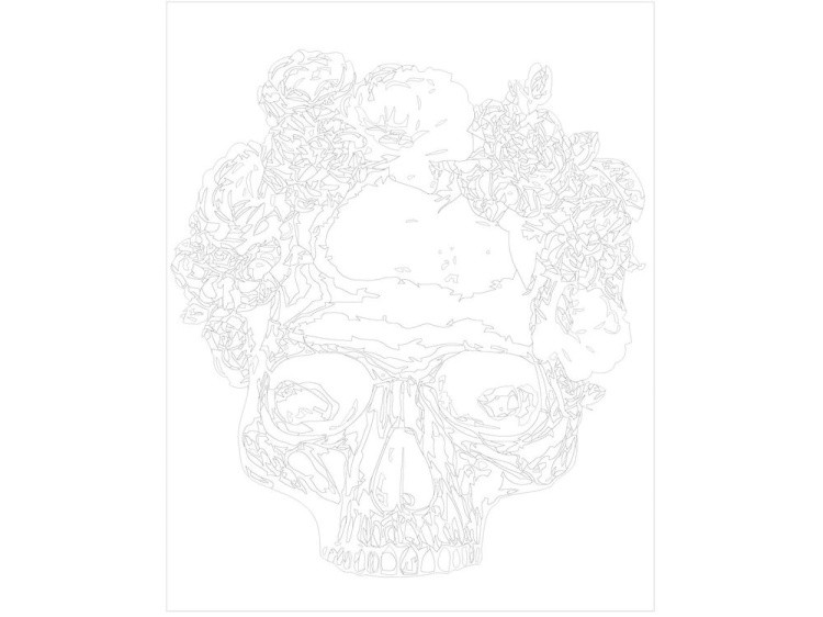 Картина по номерам «Череп» — картинка 3