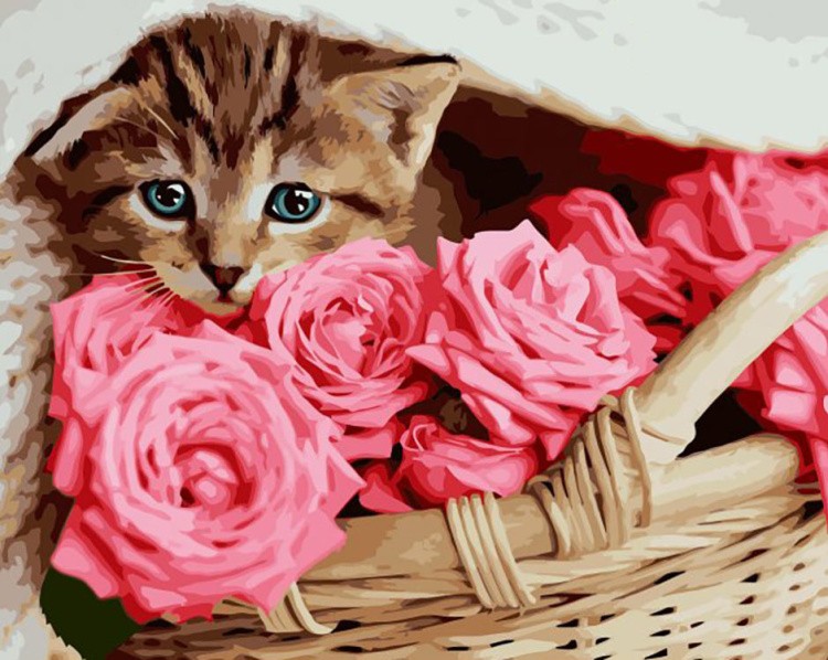Картина по номерам «Котенок и розы»