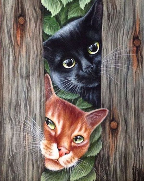 Картина по номерам «Любопытные коты»
