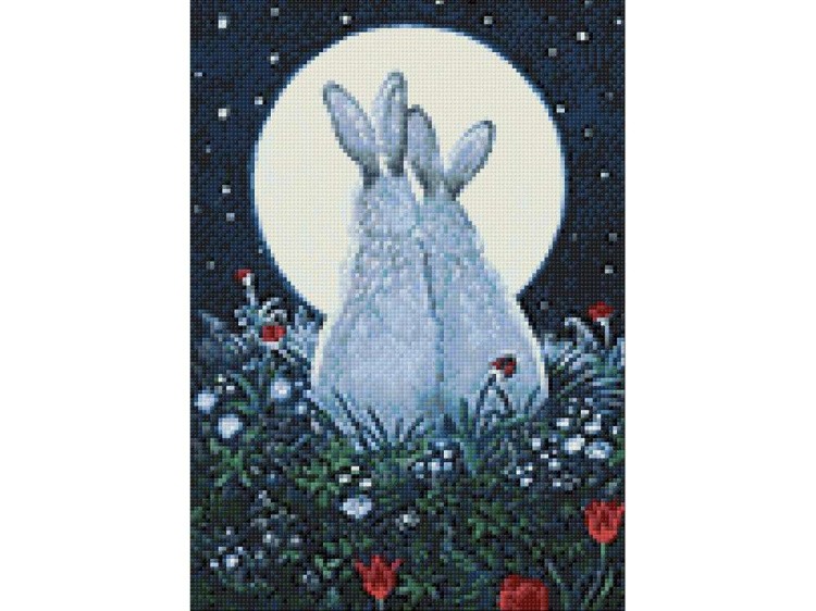 Алмазная вышивка «Лунная встреча» — картинка 3