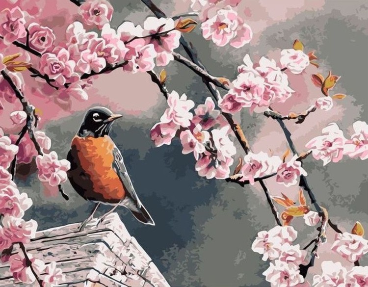 Картина по номерам «Птичка на сакуре»