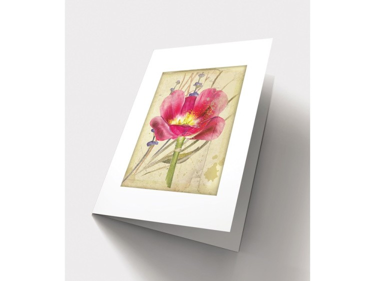 Набор для вышивания «Открытка. Алая фантазия» — картинка 2