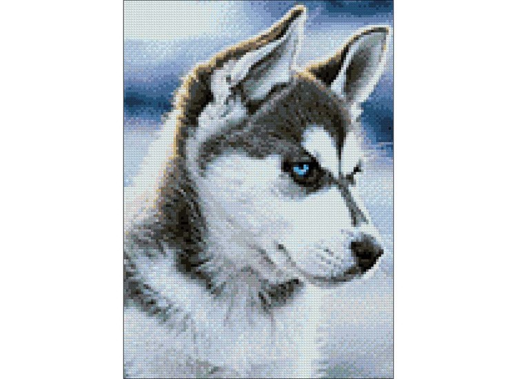 Алмазная вышивка «Снежный пес» — картинка 2