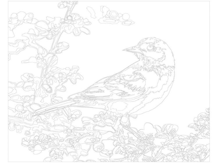 Картина по номерам «Птица» — картинка 3