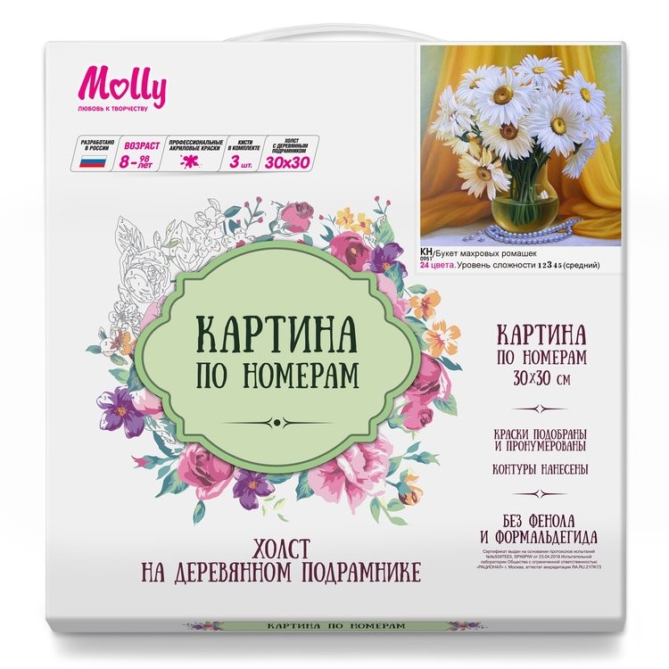 Картина по номерам «Букет махровых ромашек» — картинка 2