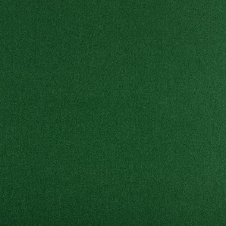 Фетр декоративный, жесткий, 1,2 мм, 33х53 см ± 2 см, 1 шт., цвет: 869 зеленый, Gamma