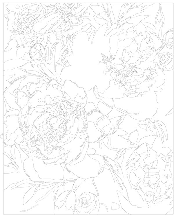 Картина по номерам «Цветы: Белые и розовые пионы» — картинка 3