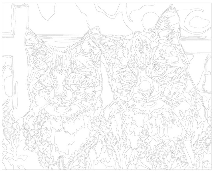 Картина по номерам «Кошка и кот» — картинка 3